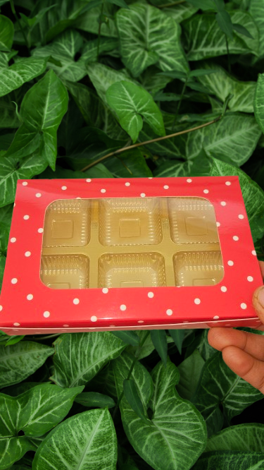 6 Cavity Chocolate Box (Pack of 10)