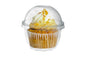 Transparent Cupcake Container with Dome Lid | Muffin & Dessert Packaging Box | Clear Plastic Cupcake Holder for Bakery, Pastry & Takeaway